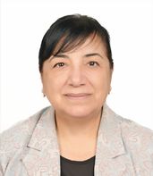 Prof. Dr. Terin Adalı