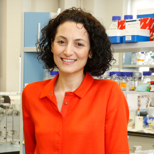 Prod. Seda Kızılel