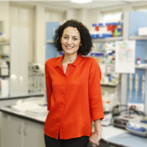 Prof. Seda Kızılel